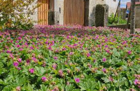 Friedrichs Kleines Haus - Foto 2