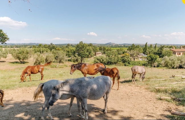 Agriturismo Il Cavone - Foto 11