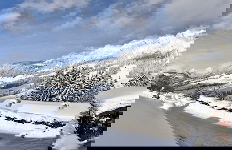 Alpbach Bergwald - Foto 48