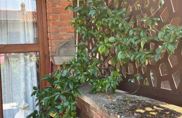 La Buschera - Foto 23