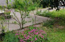 Da Jack, Apartment with garden and parking, Penne Ideal for families and pets - Foto 34