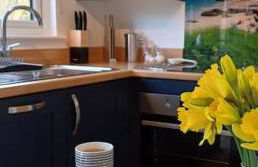 Beautiful Cabin near Padstow - Foto 26