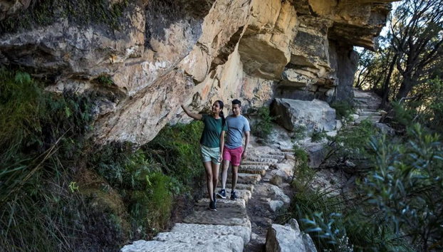 Atardecer y vida salvaje en las Montañas Azules sin multitudes – Tour de un día entero - Foto 3