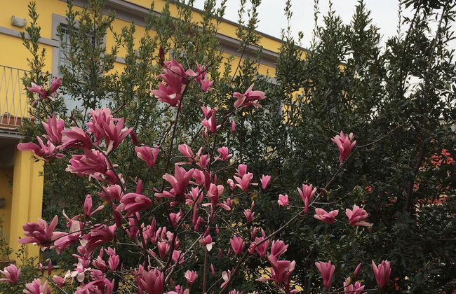 Cozy House - Photo 55