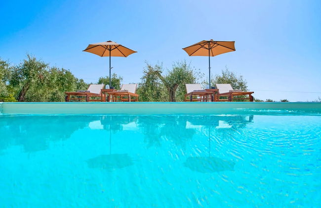 Olivista in Platonas - Foto 3