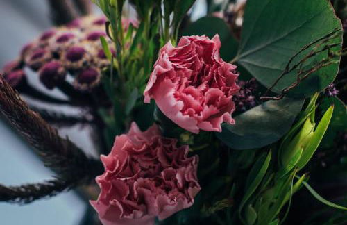 The Main Street Burrow - Your Perfect Hideaway - Foto 23