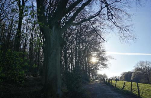 Das Burgberghaus Apartment Auwald - Foto 32