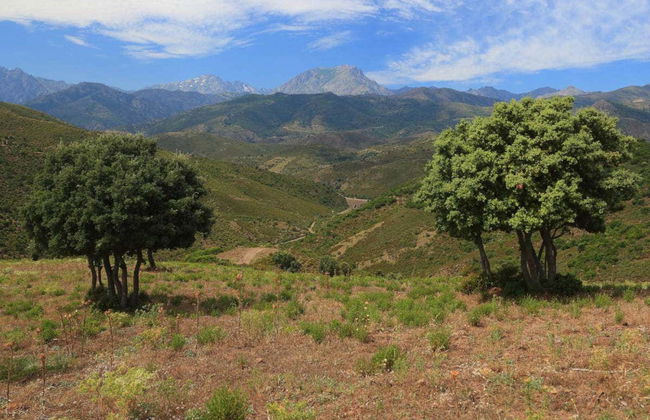 Asco Valley Jeep Tour - Photo 6