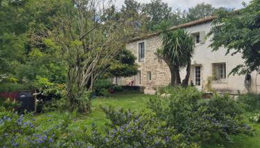 Sublime Mas de Lou à 15 minutes d'Arles - Foto 3, Garden