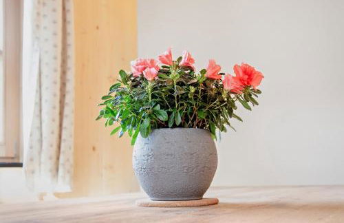 Ferienwohnung Uferweg - Foto 8