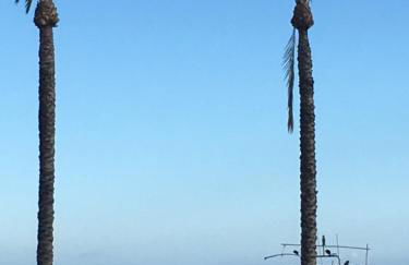 Luceros Sea view Apts -with balcony- City&Beach - Foto 53