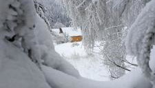 Domki Krynica - Foto 4