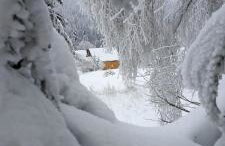 Domki Krynica - Foto 4