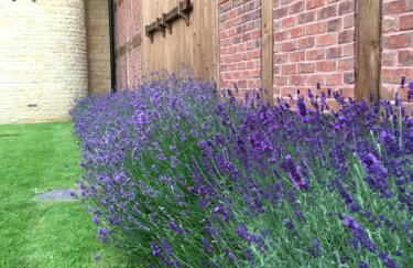 No.10 Broadway - Foto 41