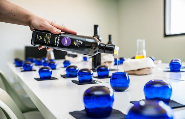 Finca Luz de Alba - Photo 26