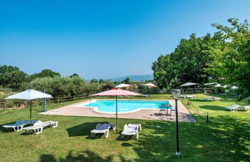 Tulipano - Agriturismo Fogliani - Foto 20