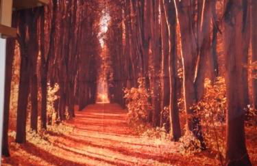 CasarinoLaurino Among Cinque Terre Genova And Portofino - Foto 63