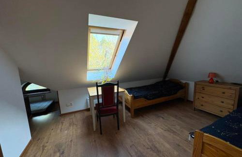 Agroturystyka Traperska Osada - Foto 18