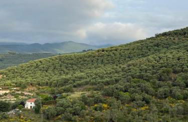 La dimora dell'Abbondanza - Foto 14