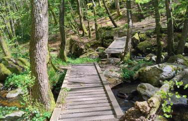 Gite cozy, Parc naturel du Morvan - Foto 37