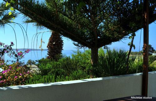 Nikoleta's Studios - Photo 40