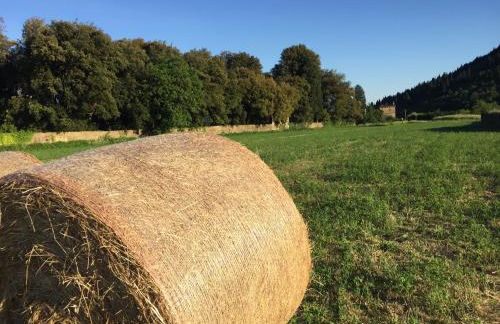 Accanto a Firenze - Foto 43