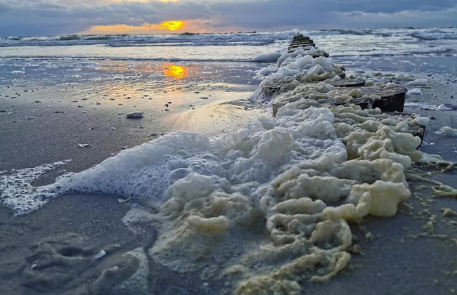 Appartements Post Hiddensee, Vitte - Foto 26