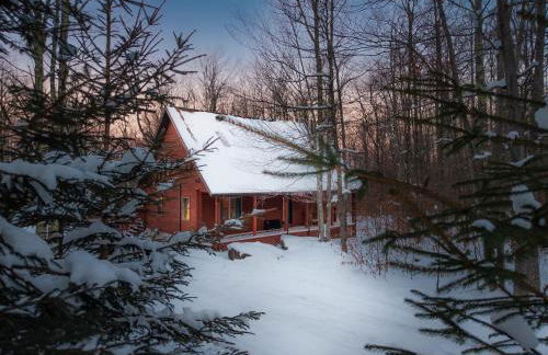 Driftland Cabin sauna, hot tub, pizza oven - Photo 3