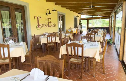 Agriturismo Terra Di Elea azienda agricola di Raimondo MIchela - Foto 4