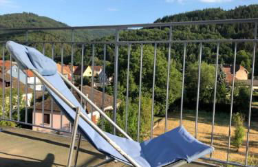 Le Kesbel entre Strasbourg et Colmar en centre Alsace - Foto 7