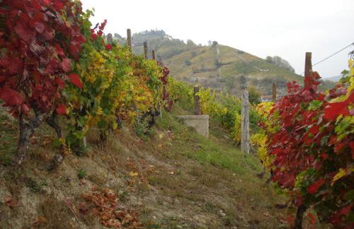 Agriturismo Cascina L'Arché - Photo 33