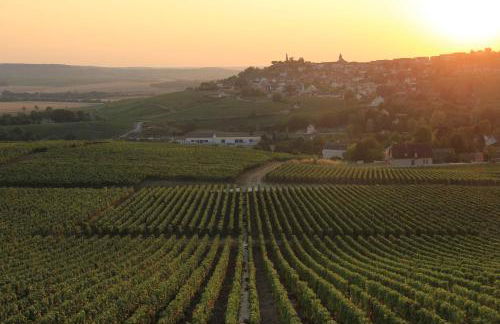 Lodge de la Vigneronne - Foto 12