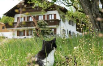 Ferienhaus Axmann - Foto 11