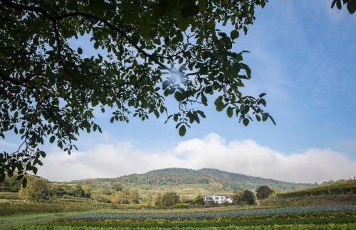 Ferienwohnung Schambachhof - Foto 28