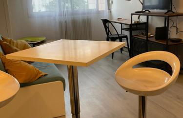 Studio-Champagne Lanson-Proche Hôpitaux-Universités-Parc Léo Lagrange - Foto 15