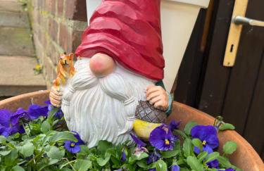 Fachwerk in Bergfreiheit - Foto 17