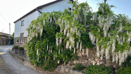Trelowen Cottage - Photo 2