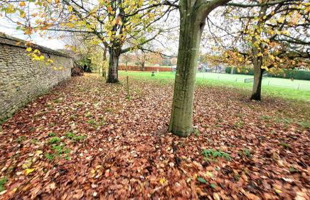 Plank Bridge Shepherds Hut in Orchard - Peaceful Escape for Two - Foto 25