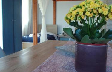 Studios ΣΤΟΥΣ ΠΥΡΓΟΥΣ ΘΕΡΜΗΣ - Foto 23