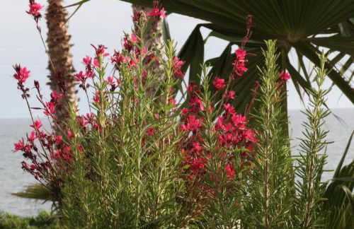 Residence Mare Azzurro - Foto 40