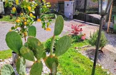 La Dolce Vita. Alloggio nel verde cuore del Friuli Venezia Giulia - Foto 6