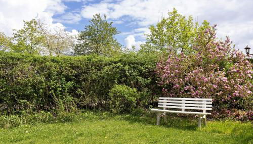 Blockhütte - Photo 3