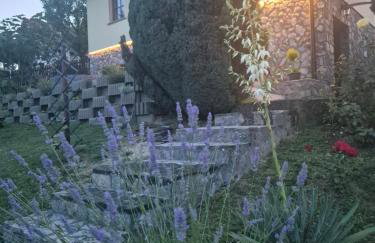 Kuća Za Odmor Barbara - Foto 3