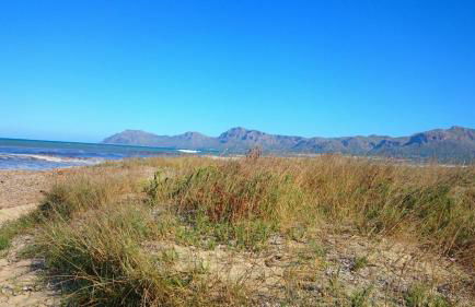 Sestanyol in Urbanitzaci s Estanyol - Foto 58