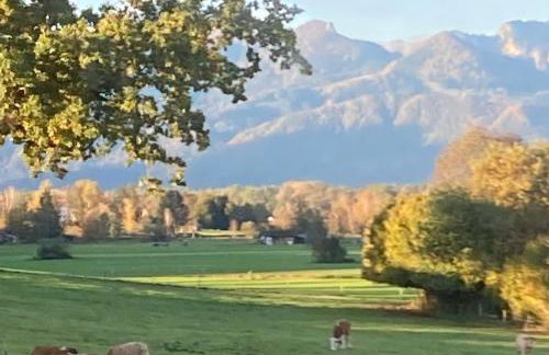 Ferienwohnung beim Binder - Photo 17