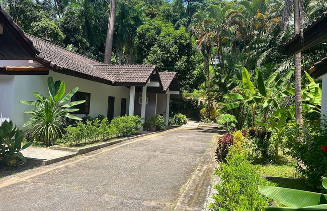 The Delight Pine Tree Village - Foto 13