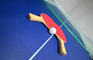 Forest View - near Rußweiher - Foto 11