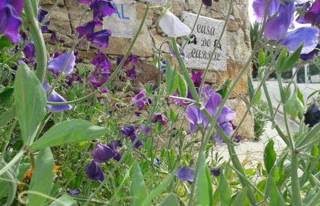 Casa do Cabril - Foto 23