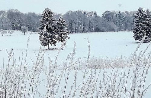 Ferienwohnung mit großem Balkon in Bömitz - Foto 20