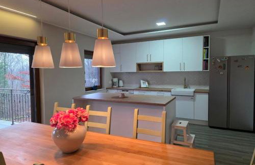 Private Villa with Pool near Opatija - Vila Natura - Foto 31